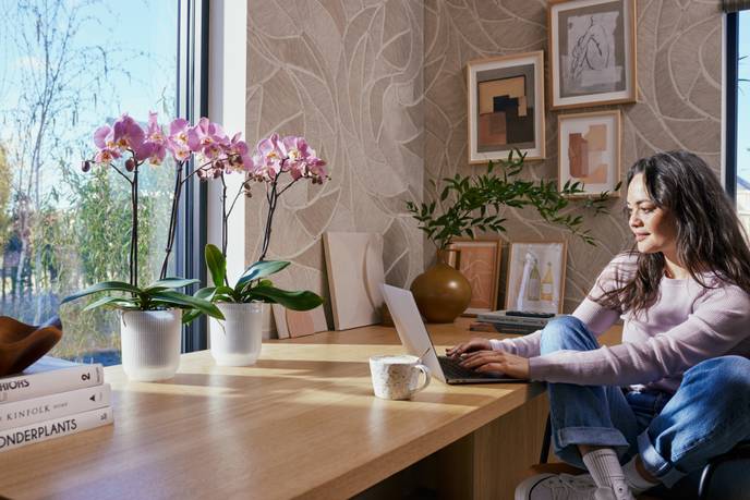 vibes fold orchidee hoch 12,5cm transparent